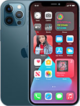 iPhone 12 Pro Max Repair