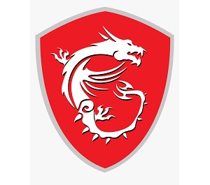 MSI Repair